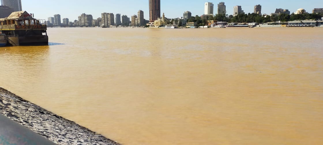 مياه النيل تتحول إلى اللون الأصفر فى القاهرة الكبرى (11)