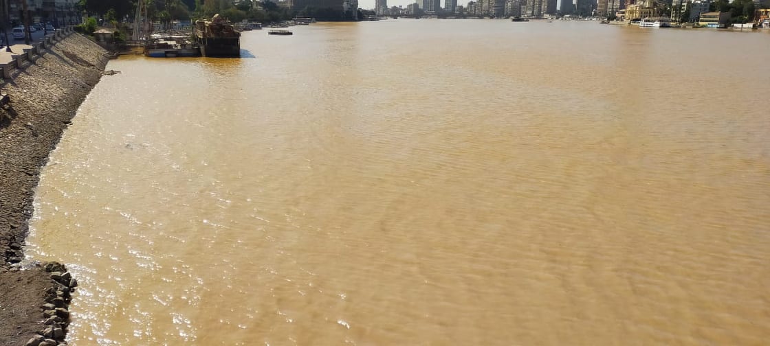 مياه النيل تتحول إلى اللون الأصفر فى القاهرة الكبرى (4)