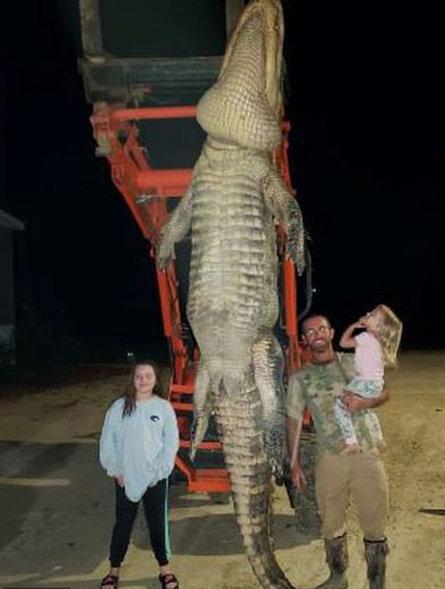 رجلا يصطاد تمساحا ضخما بطول 4 متر بأمريكا (1)