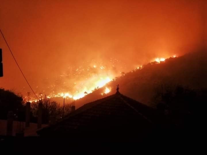حرائق الغابات فى الجزائر  (1)