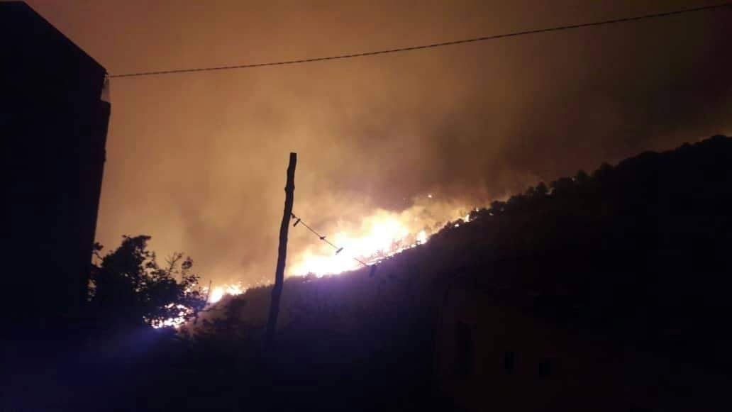 حرائق الغابات فى الجزائر  (3)