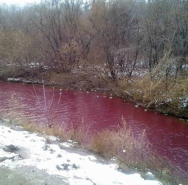نهر يتحول إلى اللون الأحمر في روسيا  (1)