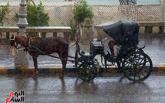 شوارع الإسكندرية تمتلئ بمياه الأمطار بعد هطولها بغزارة