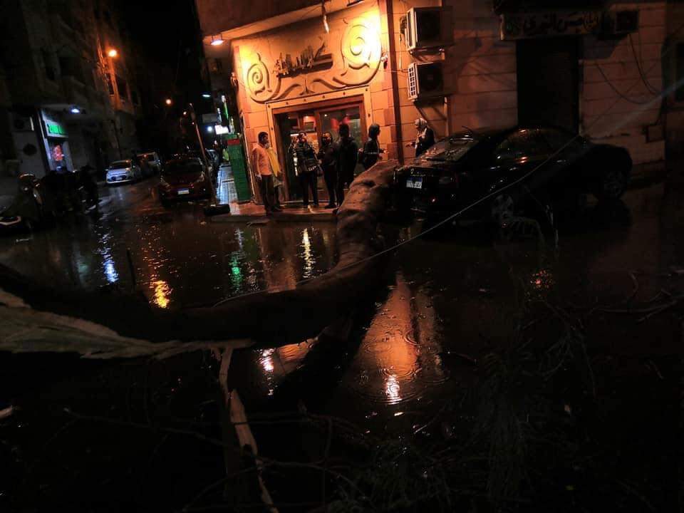 سقوط شجرة بمنطقة فلمنج بسبب الأمطار (2)