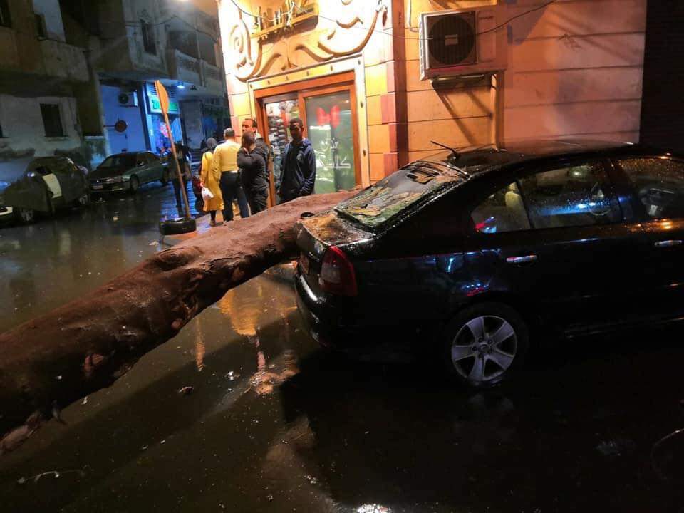 سقوط شجرة بمنطقة فلمنج بسبب الأمطار (3)