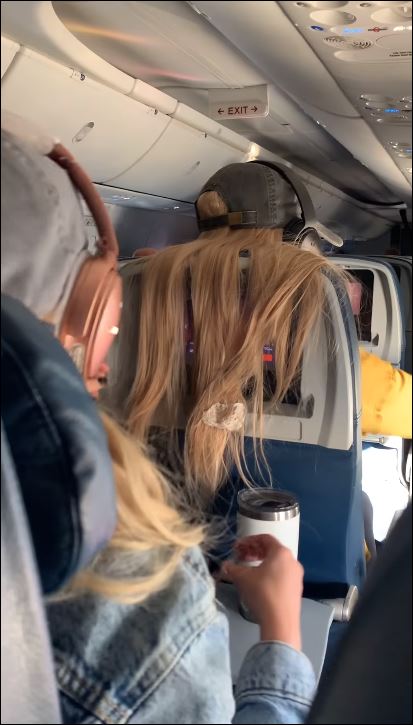 راكبة تضع علكة في شعر آخري على طائرة (3)