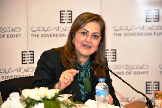 وزيرة التخطيط خلال لقاء مع عدد من الكتاب والصحفيين (7)