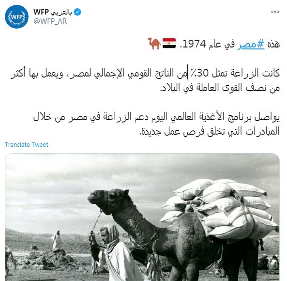 حساب برنامج الغذء العالمى على تويتر