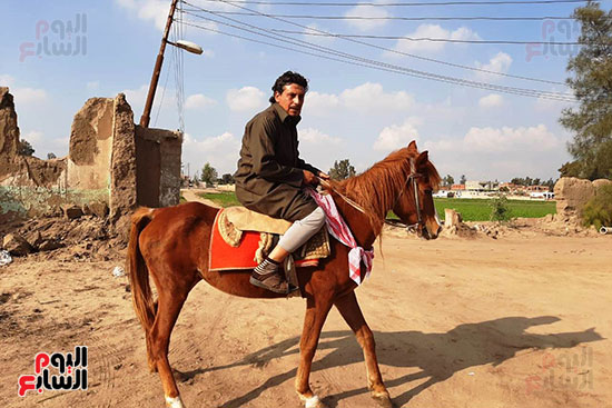  تربية الخيول العربية الأصيلة في الشرقية (3)