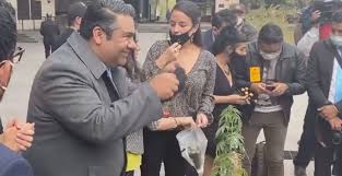 نائب مكسيكى يزرع نبتة الماريجوانا