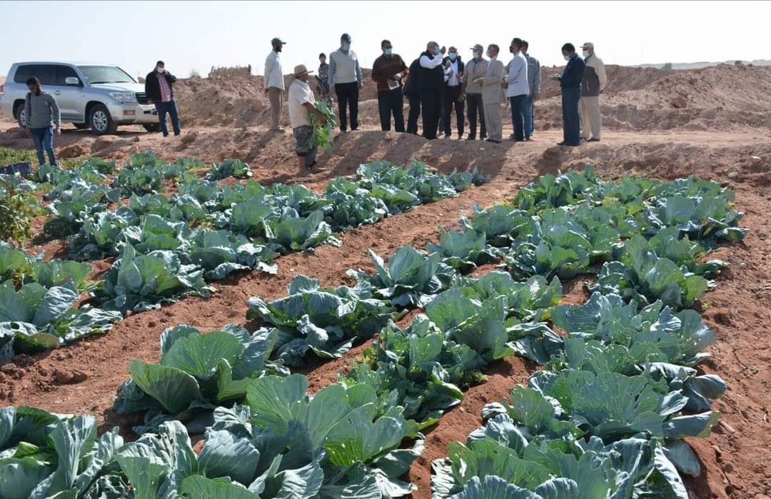 محافظ الوادى الجديد يتفقد مشروع إنتاج الحرير بقرية أسمنت بالداخلة (4)