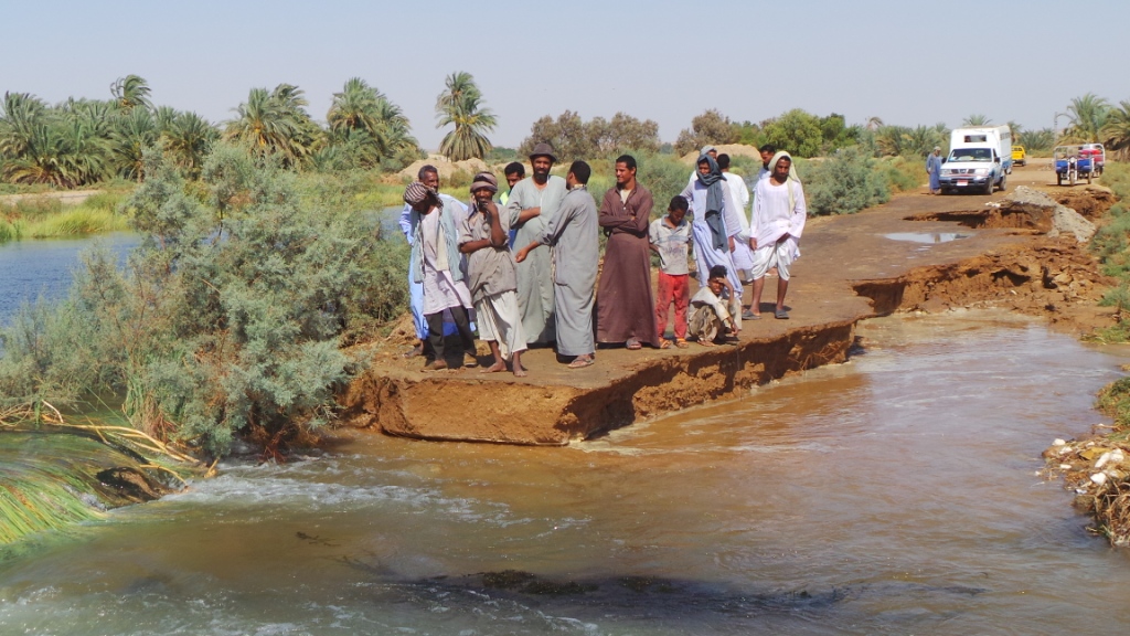 الأهالى
