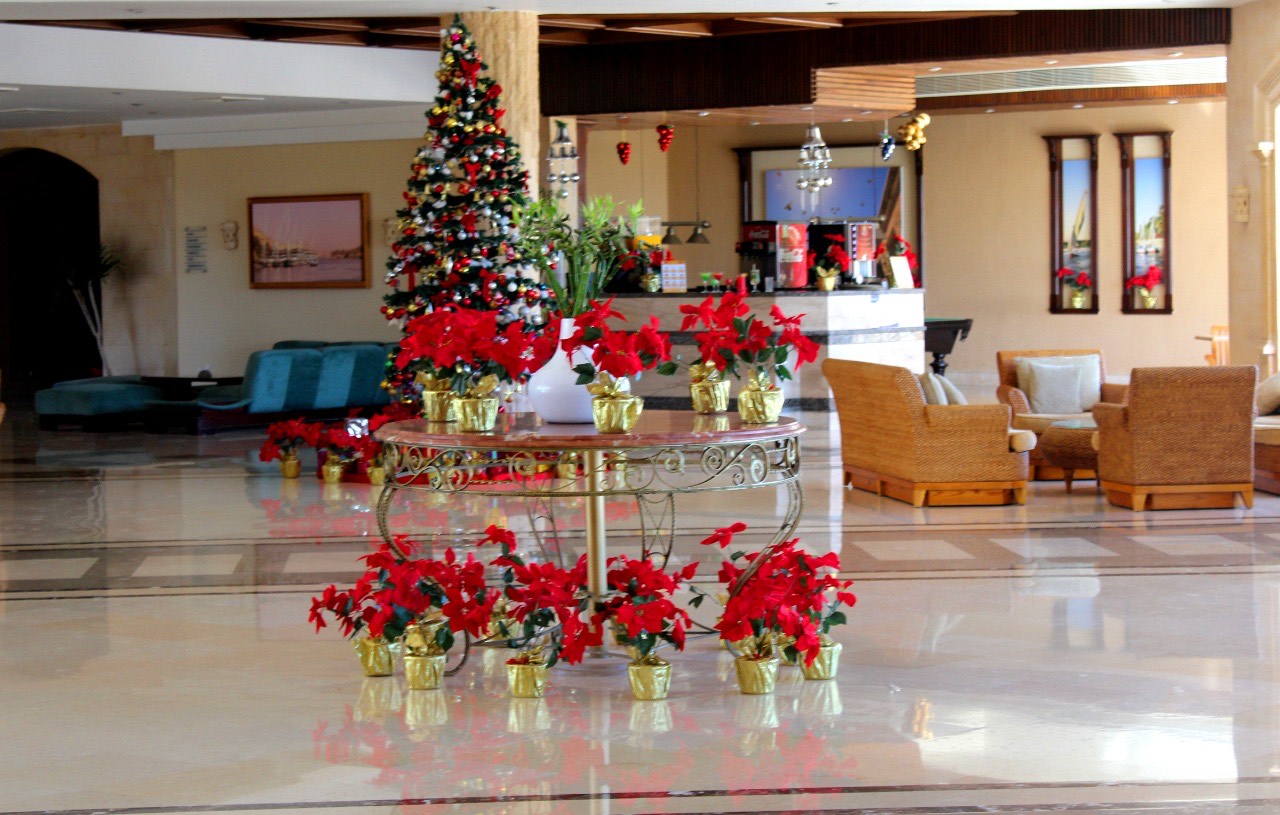 الإضاءة وأشجار أعياد الميلاد تزين فنادق البحر الأحمر لاستقبال اعياد الميلاد (3)