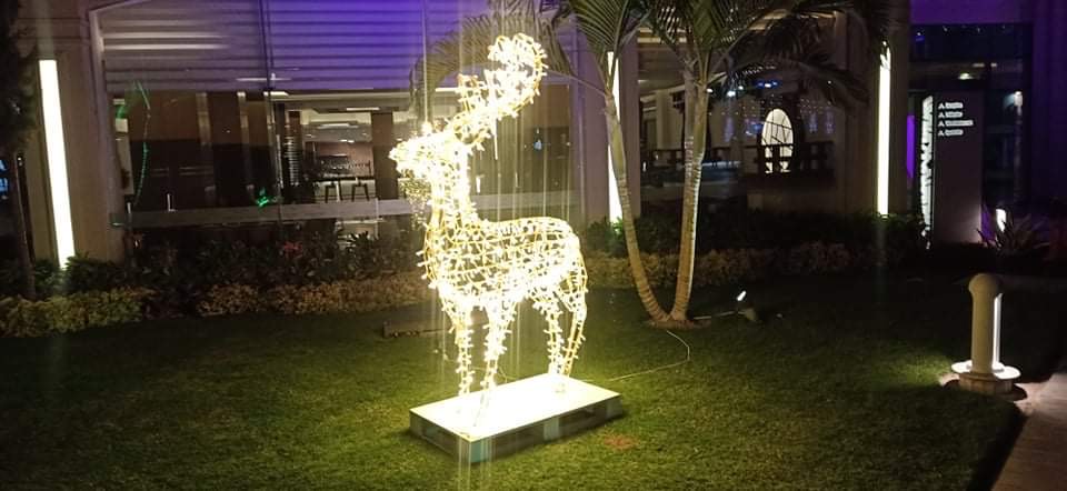 الإضاءة وأشجار أعياد الميلاد تزين فنادق البحر الأحمر لاستقبال اعياد الميلاد (7)