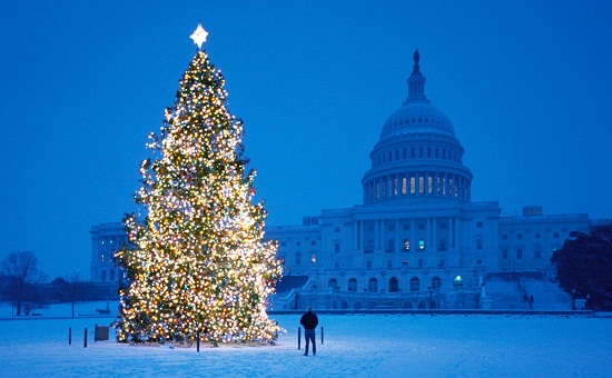 شجرة عيد الميلاد في العاصمة واشنطن