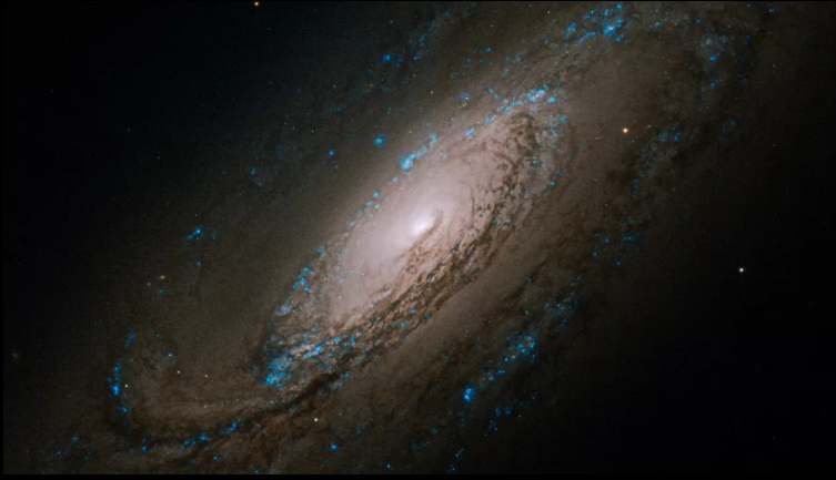 المجرة  إن جي سي 5005