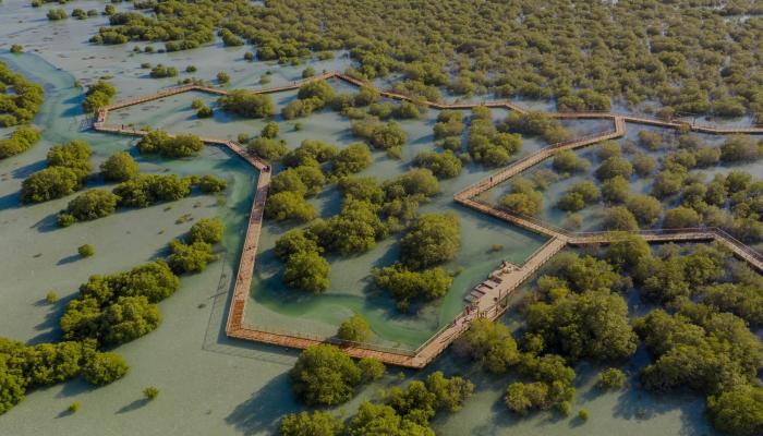 127-101527-mangroves-uae-environmental-heritage-treasure_700x400