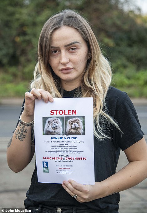 فتاة تعرض 15 ألف أسترليني لعودة كلبها بعد سرقتهم (2)