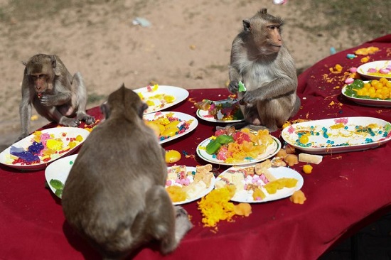 القرود تأكل الطعام من طاولة أمام معبد برانج سام يود