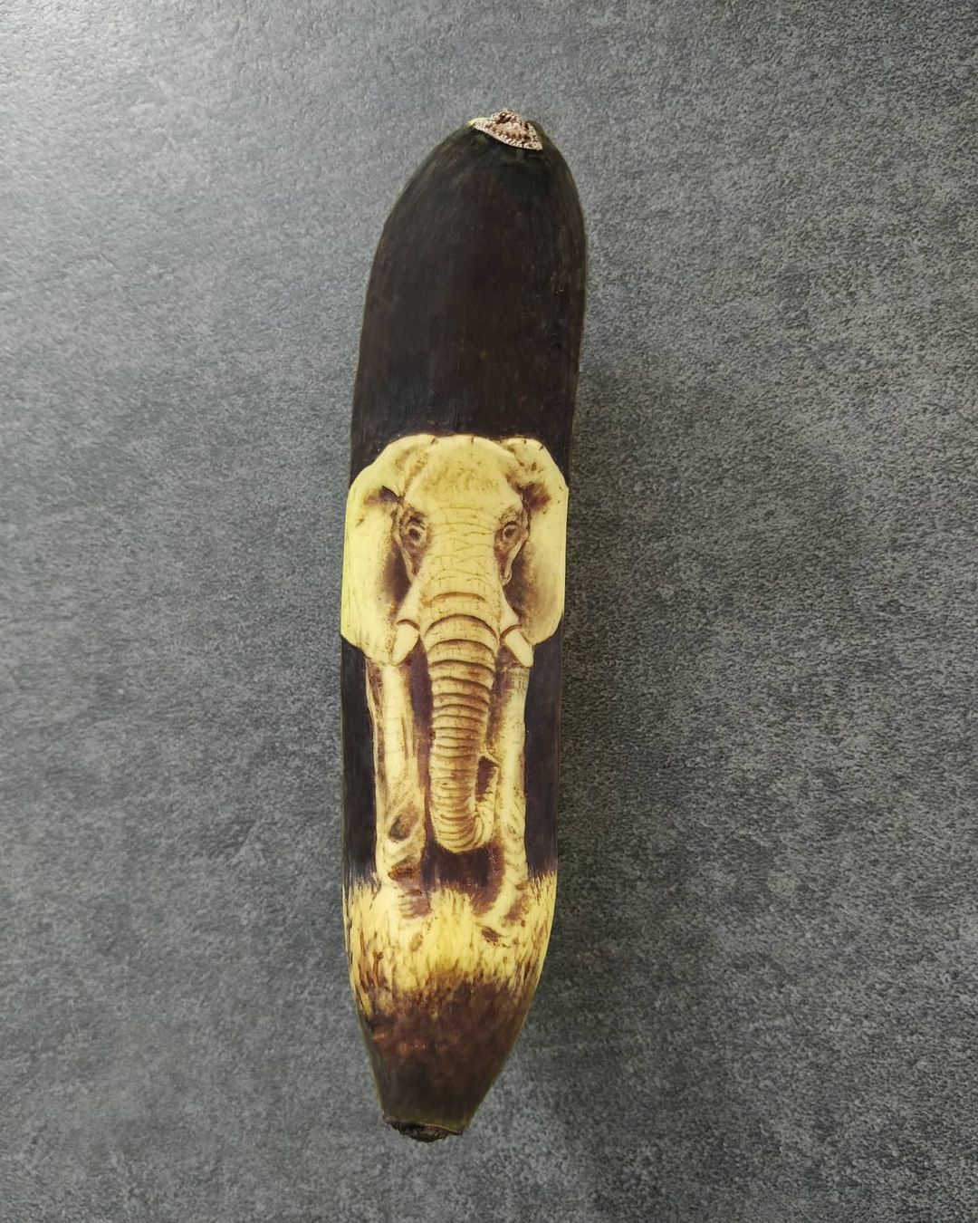 رسمة فيل على الموز