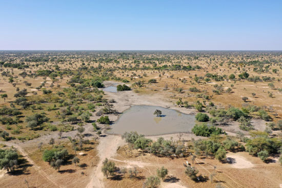 الجفاف فى السنغال - - الرعى فى السنغال (7)