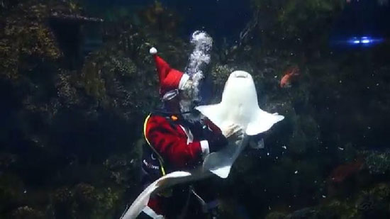 بابا نويل تحت الماء (3)