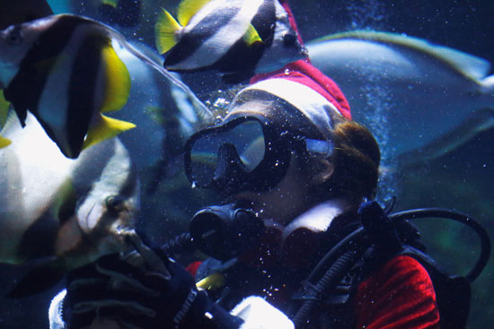بابا نويل تحت الماء (7)