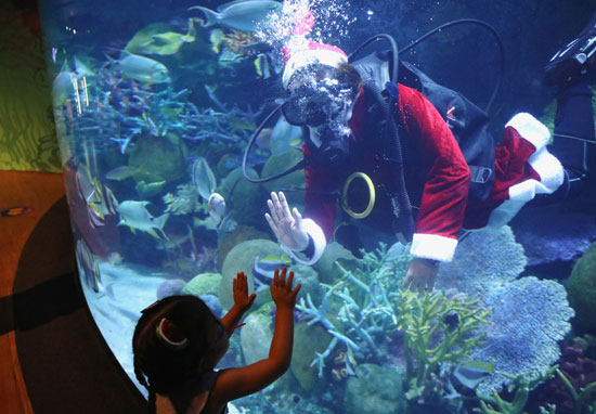 بابا نويل تحت الماء (6)