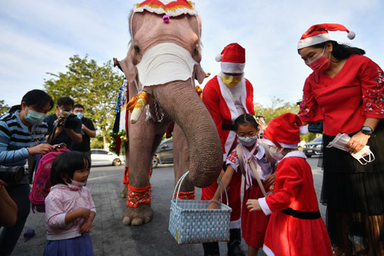 الفيل وهدايا بابا نويل (6)