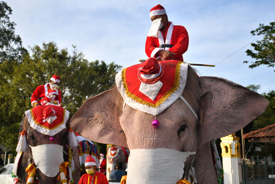 الفيل وهدايا بابا نويل (2)