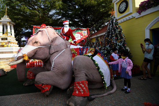 الفيل وهدايا بابا نويل (8)