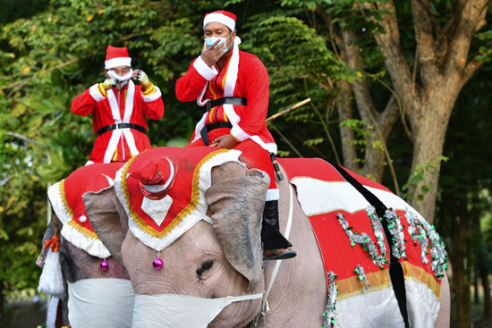 الفيل وهدايا بابا نويل (1)