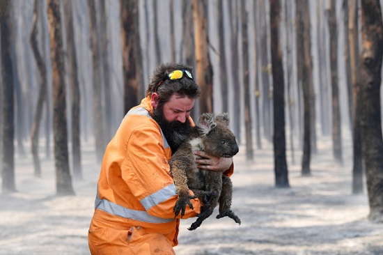 حرائق الغابات الاسترالية