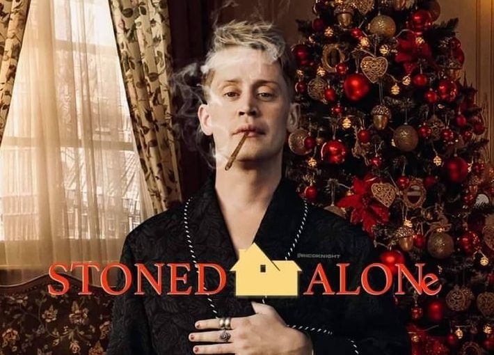 بوستر فيلم  Stoned Alone