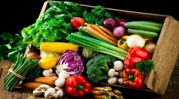 النظام الغذائي النباتي