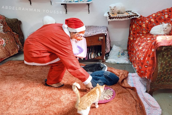 بابا نويل يوزع الطعام على القطط