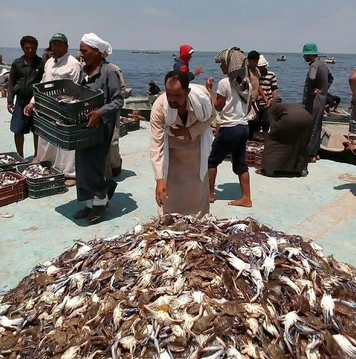 136-224111-egypt-bardawil-fishing-bedouins-of-sinai-4