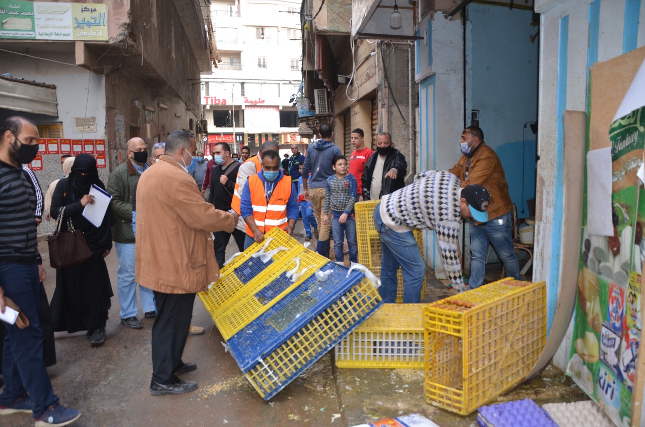 حملة مكبرة بالاسكندرية