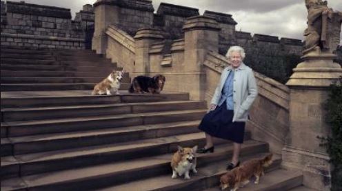 الملكة البريطانية إليزابيث الثانية مع كلابها