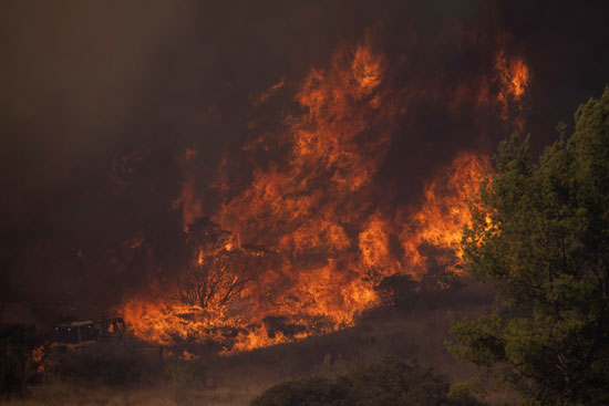 تجدد الحرائق فى غابات كاليفورنيا والنيران تلتهم مساحات واسعة (5)