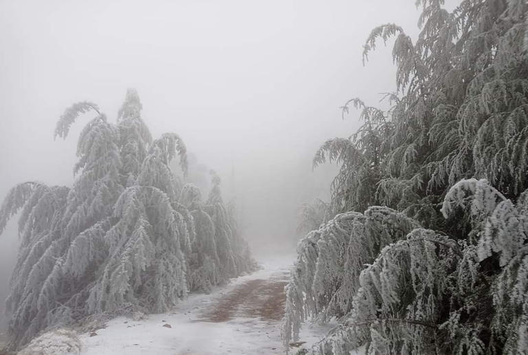 48-113653-snowfall-north-algeria-desert-9