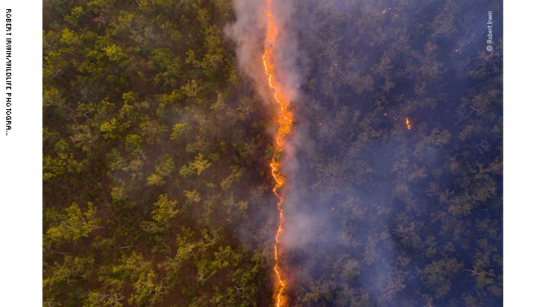 حريق يشق الغابات بالقرب من حدود محمية ستيف إيروين للحياة البرية في كيب يورك،