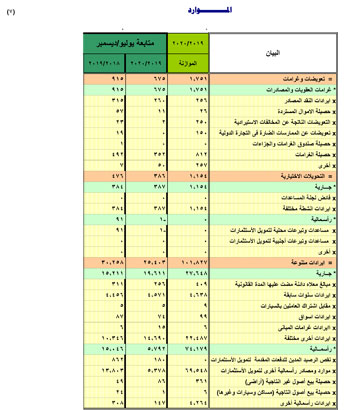  النص الكامل لتقرير الأداء المالى لمصر خلال 6 أشهر (33)