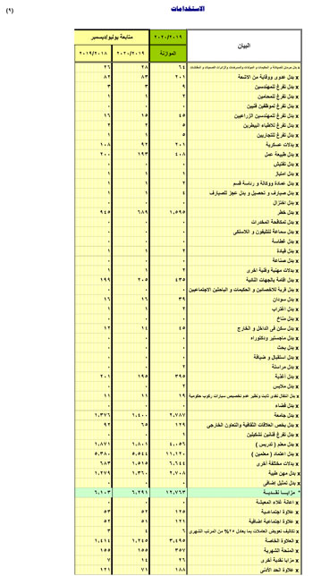  النص الكامل لتقرير الأداء المالى لمصر خلال 6 أشهر (35)