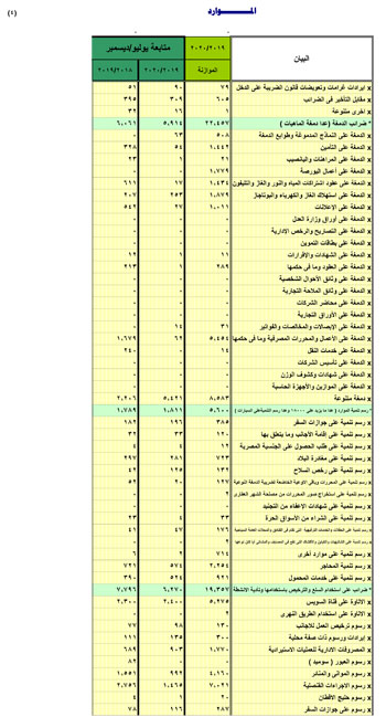  النص الكامل لتقرير الأداء المالى لمصر خلال 6 أشهر (30)