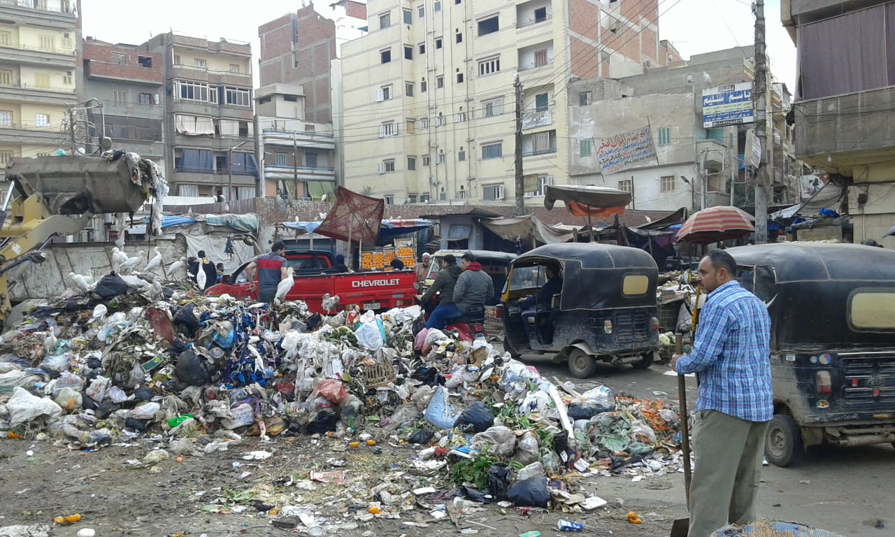 حملات نظافة بشوارع الغربية (4)