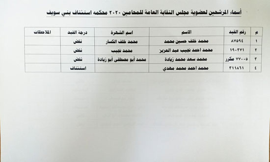 نقابة المحامين تعلن الكشوف النهائية للمرشحين فى انتخاباتها (9)