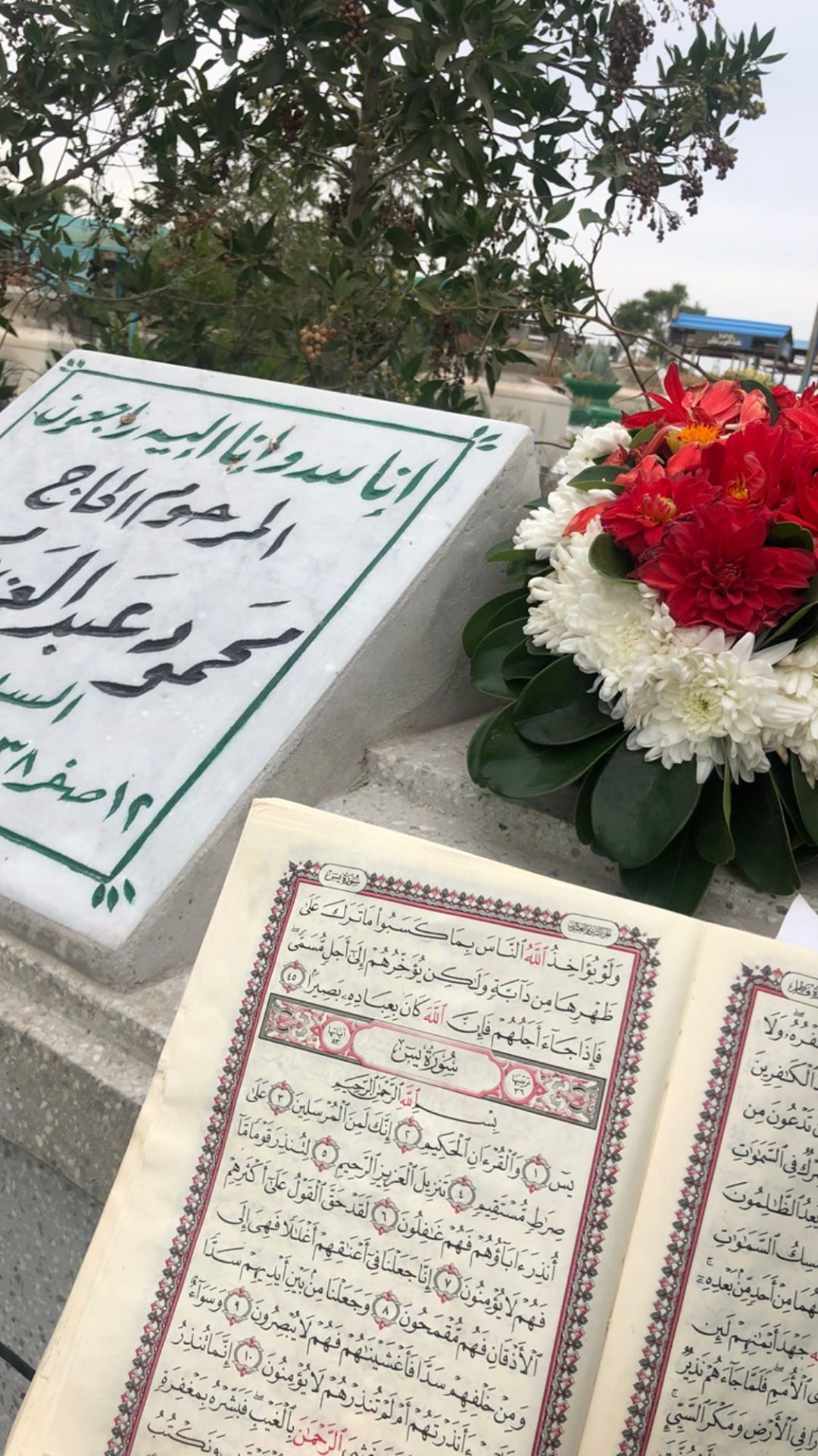 بوسى شلبى تحتفل بالفلانتين أمام قبر زوجها محمود عبد العزيز