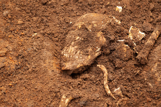العثور على مقبرة جماعية فى بوروندى