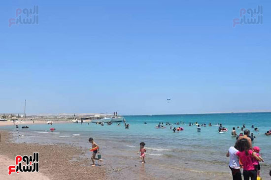 أهالى البحر الأحمر ينتظرون الشواطئ العامة الجديدة (4)